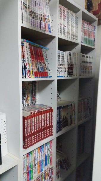我が家の本棚 天井くらいまであるヤツ