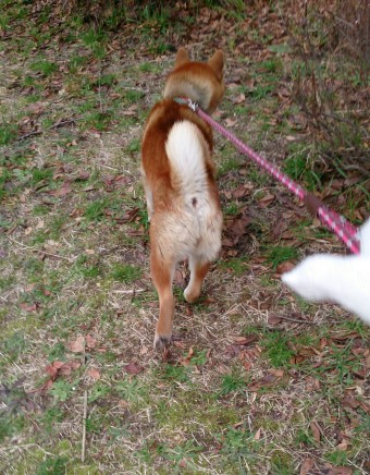 ぐんぐん進む！