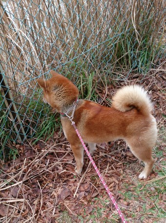 むむ…！何かいる！