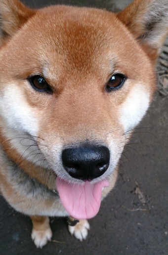 別れ際のどアップ