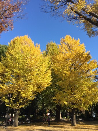 !cid_4D134362-1A3D-41EE-BF11-0EAA8D4B104F