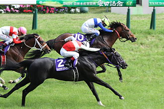 豪脚で世界のロードカナロアにも迫った