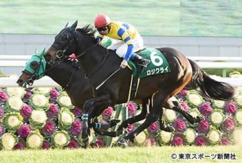 シンザン勝ち馬