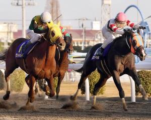 最後の熾烈な鞭の叩き合い