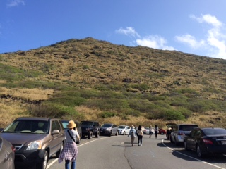 前方に見える頂上まで行きました