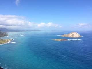 途中で見えた海