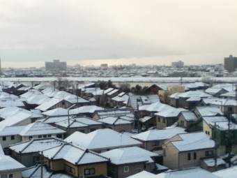 やっぱり見えませんでした