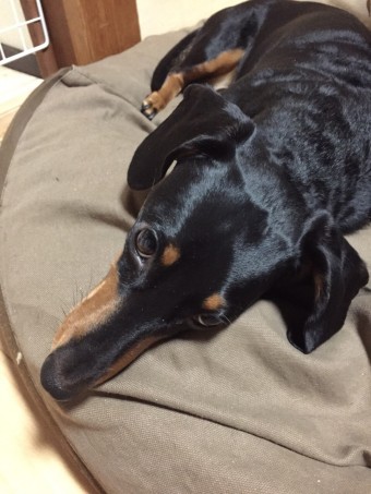 見てんじゃねーよ