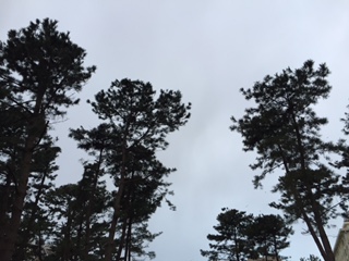 空が新潟特有のグレーです