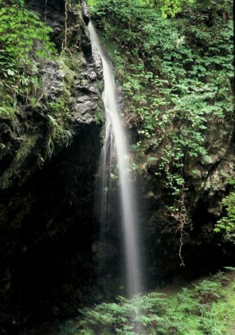 にいがた観光ナビより引用