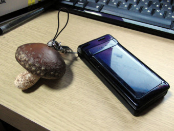 11224742_1633023887_59large