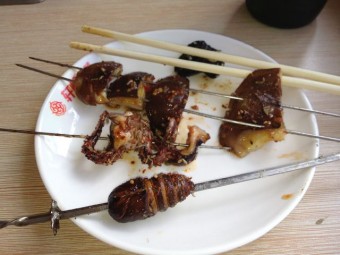 画像下の物体がチョウチョさんの幼虫さん。