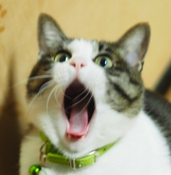 87d121336452ea7d62f596bddc7aaaba_m