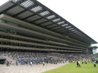 東京競馬場