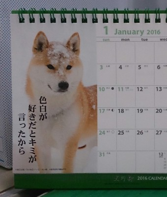 この黒目がちなとこがかわいいっ