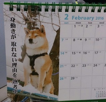 ２月に入ったので、今はこれ～♪