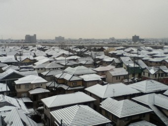 久しぶりの雪景色