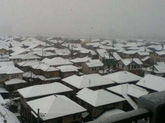 降雪で見通しが良くありませんね