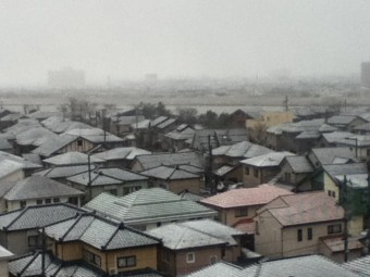 今朝は雪模様