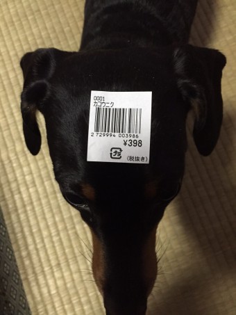 ボクハサンキュッパジャアリマセン。カコウニクデモアリマセン。