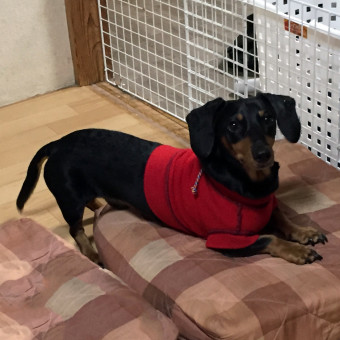 新しい技術（座り方）を習得です。