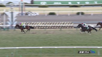 きさらぎ賞-2-1024x579