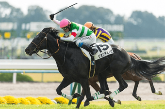 リオンディーズ