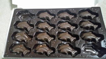 グアム ハネムーンのみやげもらった イルカかわゆす