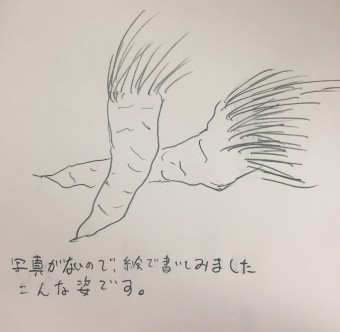3.12.3