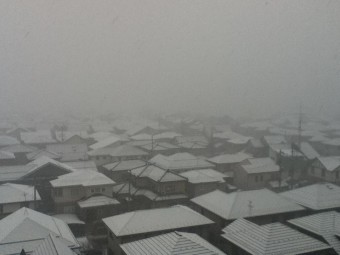 二日続きの雪景色