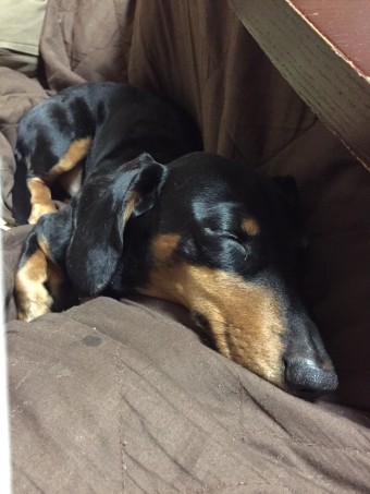 キミは呑気でいいねぇ。