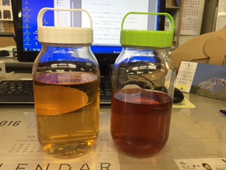 右の瓶がブランデーで作った梅酒