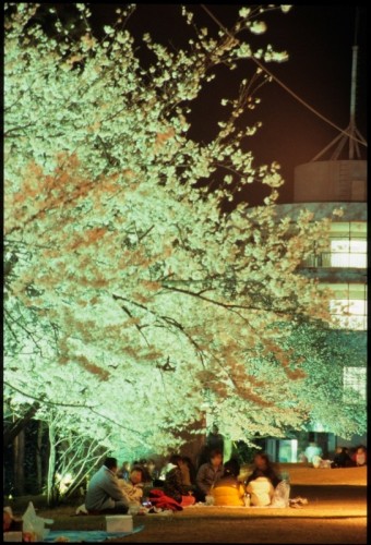 引用:新津観光協会HP