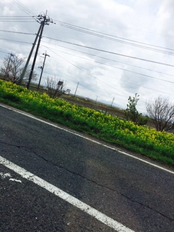 フラワーロード