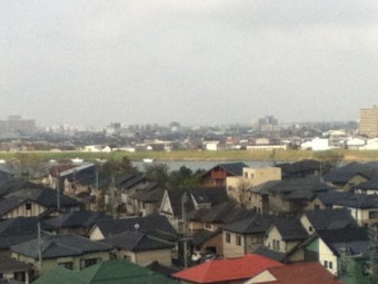 お決まりの春霞