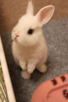 t02200330_0800120010787341469