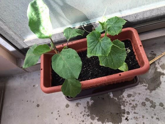 1713a9e9-f307-4c37-a1c1-1e1444f4014c