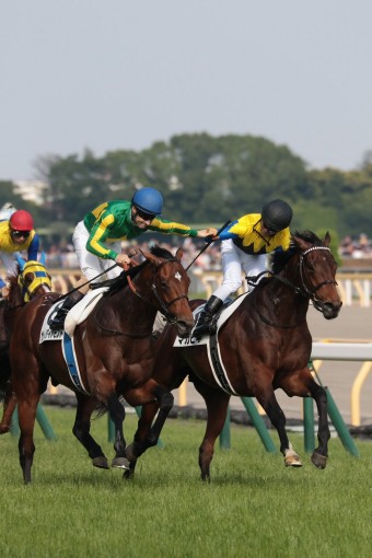 Cjmy6uIUUAI4Gm1.jpg large