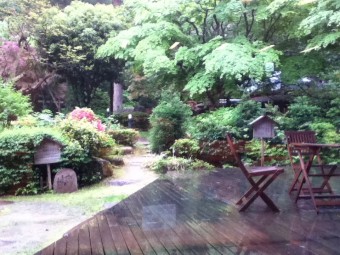 雨なのでガラス越し