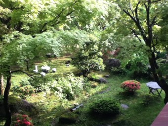 朝日を浴びて①