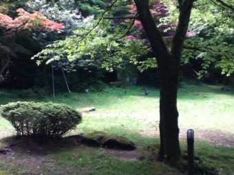 朝日を浴びて②