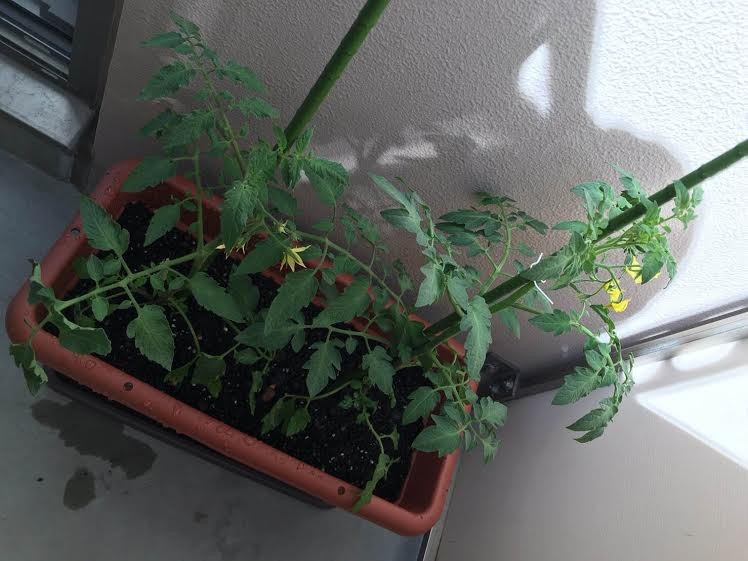 f727807d-a6b1-49bd-a39c-2b2707eaad7f