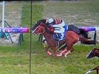 o0510038213633940165[1]