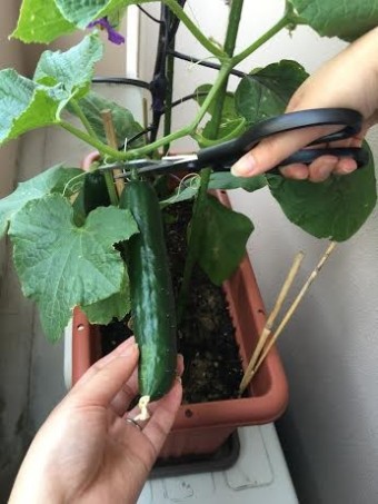 4ed15fba-b886-4361-9aca-0db54844e9a2