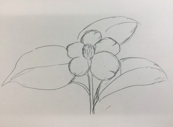 6.15.1