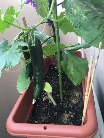 7872aaa7-d984-44c8-a4eb-d744e072c8aa