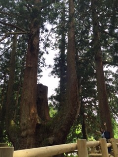 右下に私が写っているのがわかりますか？