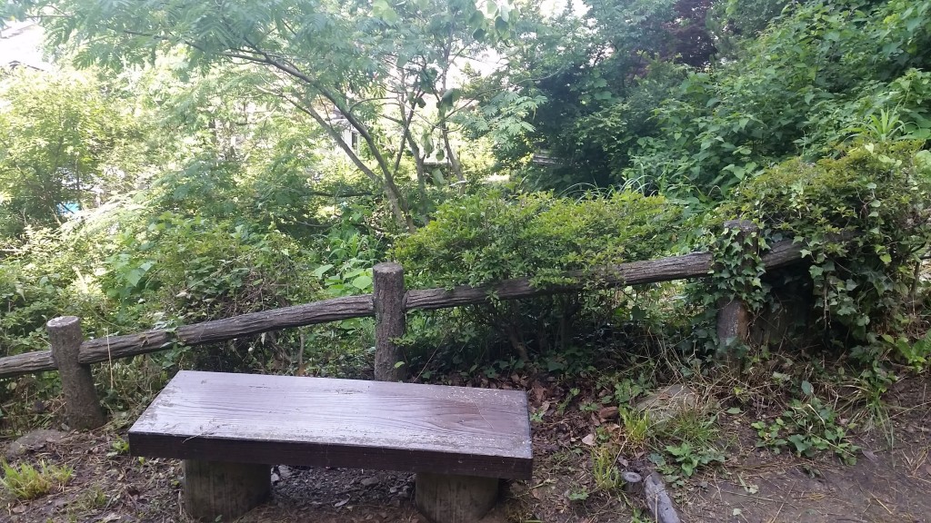 牧水の滝 その2 子どもの時、へんな卵に出会ったところ ものすごく、狭い階段でした