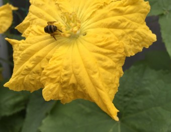 8.3.2