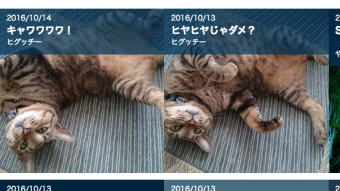スクリーンショット（2016-10-14 0.26.00）